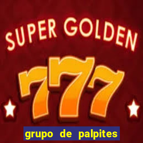 grupo de palpites de futebol whatsapp